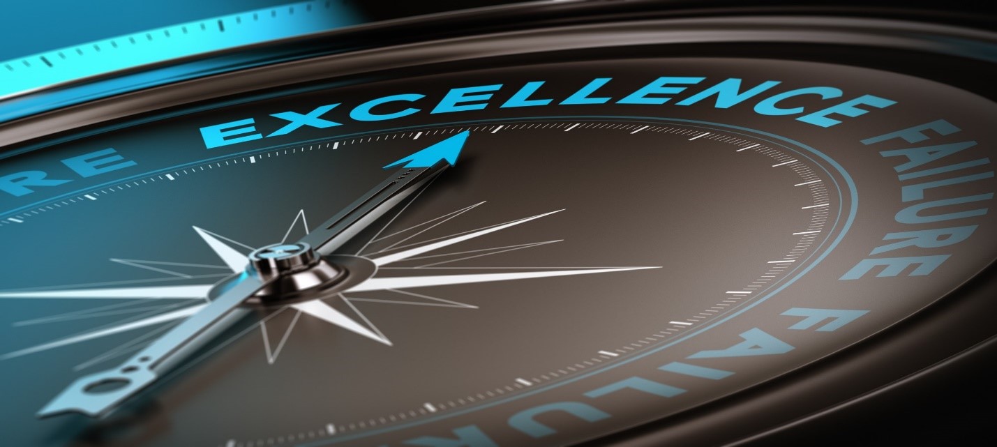 When You Need Excellence, Do You Want Employees or Stakeholders?